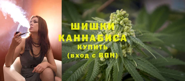 гидропоника Сатка