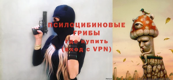 ГАЛЛЮЦИНОГЕННЫЕ ГРИБЫ Алексеевка