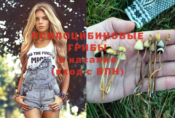 спайс Алексин