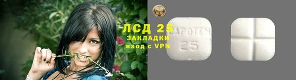 прущие грибы Алзамай