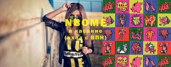 прущие грибы Алзамай