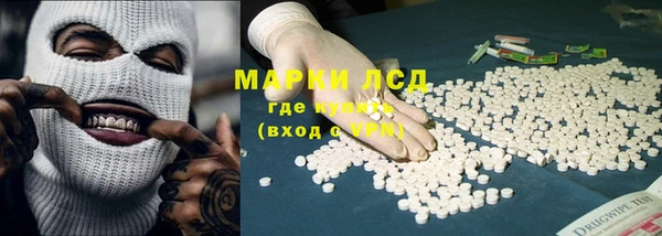 прущие грибы Алзамай
