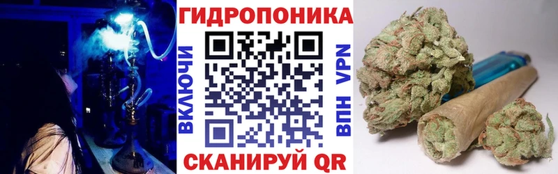 дарнет шоп  Далматово  Бошки марихуана Amnesia 